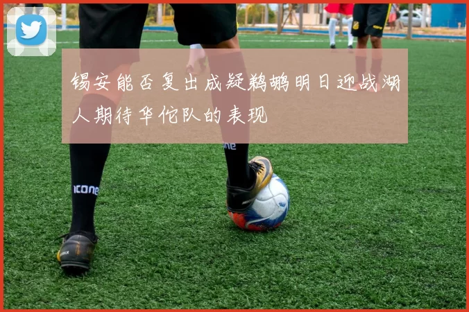 锡安能否复出成疑鹈鹕明日迎战湖人期待华佗队的表现