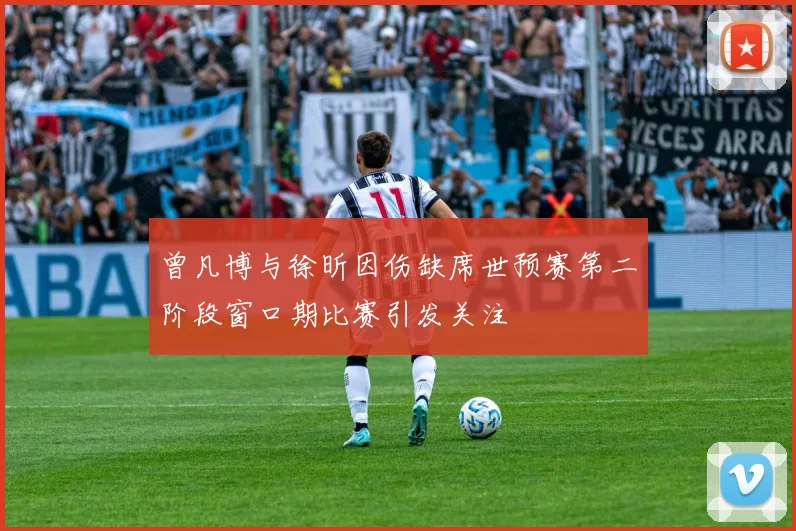 曾凡博与徐昕因伤缺席世预赛第二阶段窗口期比赛引发关注