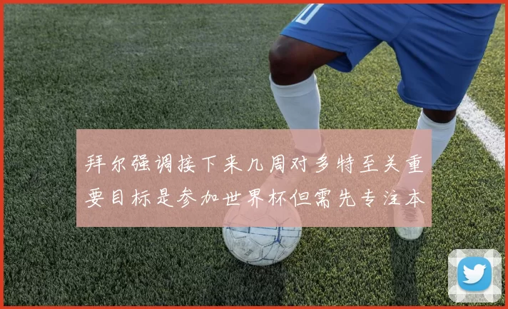 拜尔强调接下来几周对多特至关重要目标是参加世界杯但需先专注本赛季表现